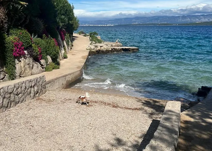 Apartment Art Gallery