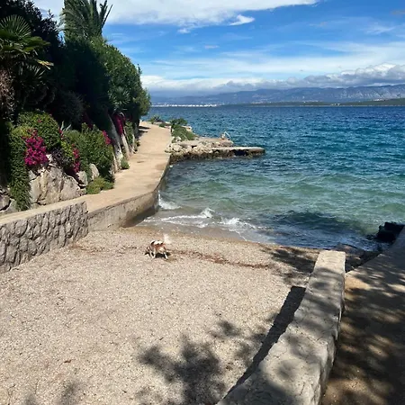 아파트 Art Gallery